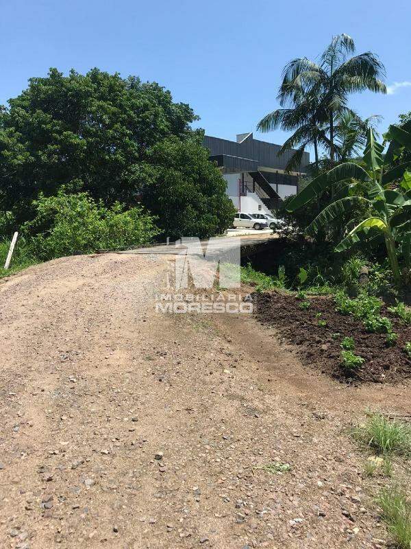 Terreno à venda no bairro Pomerânia: Acesso por ponte de madeira